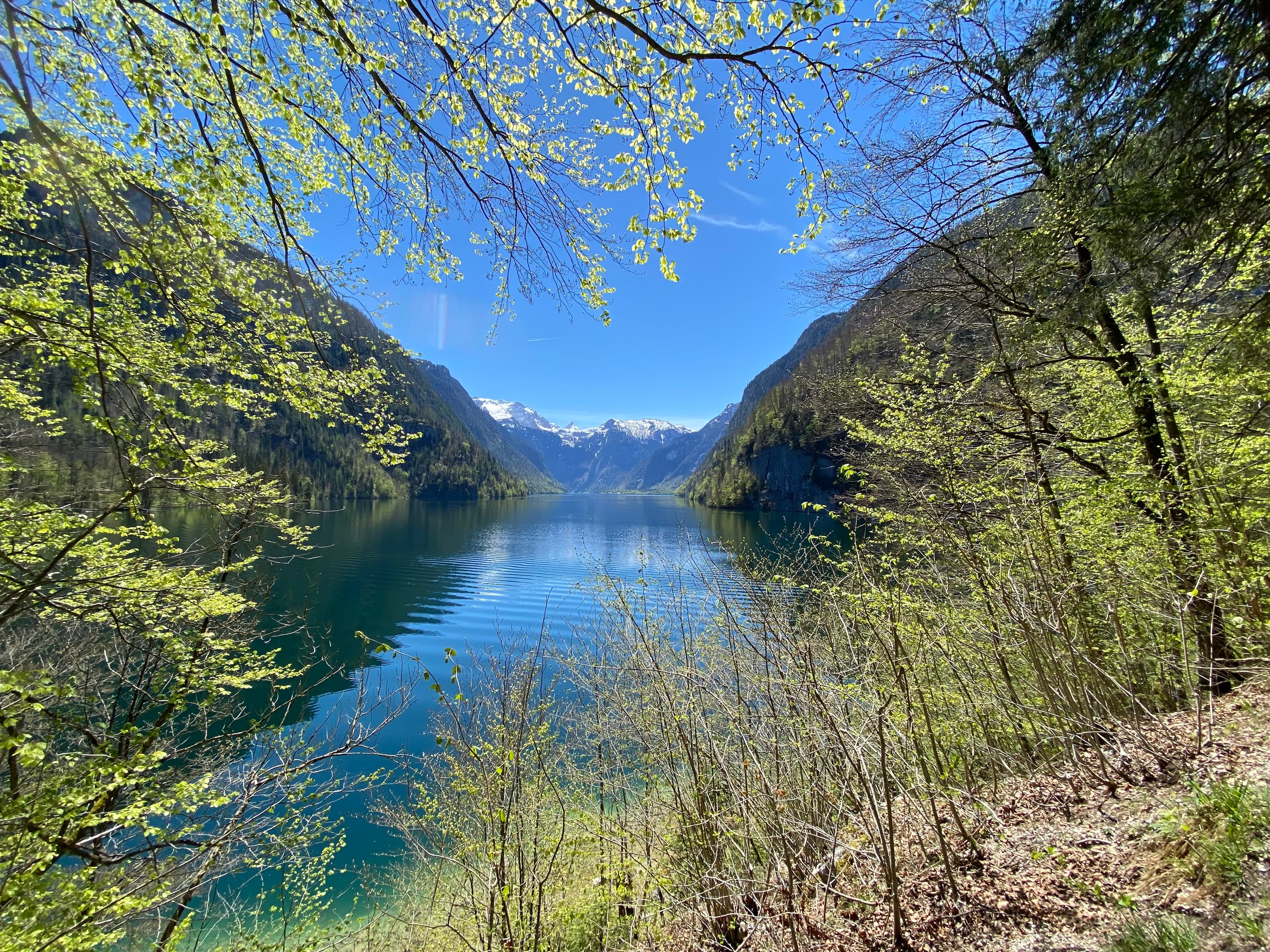 Königssee