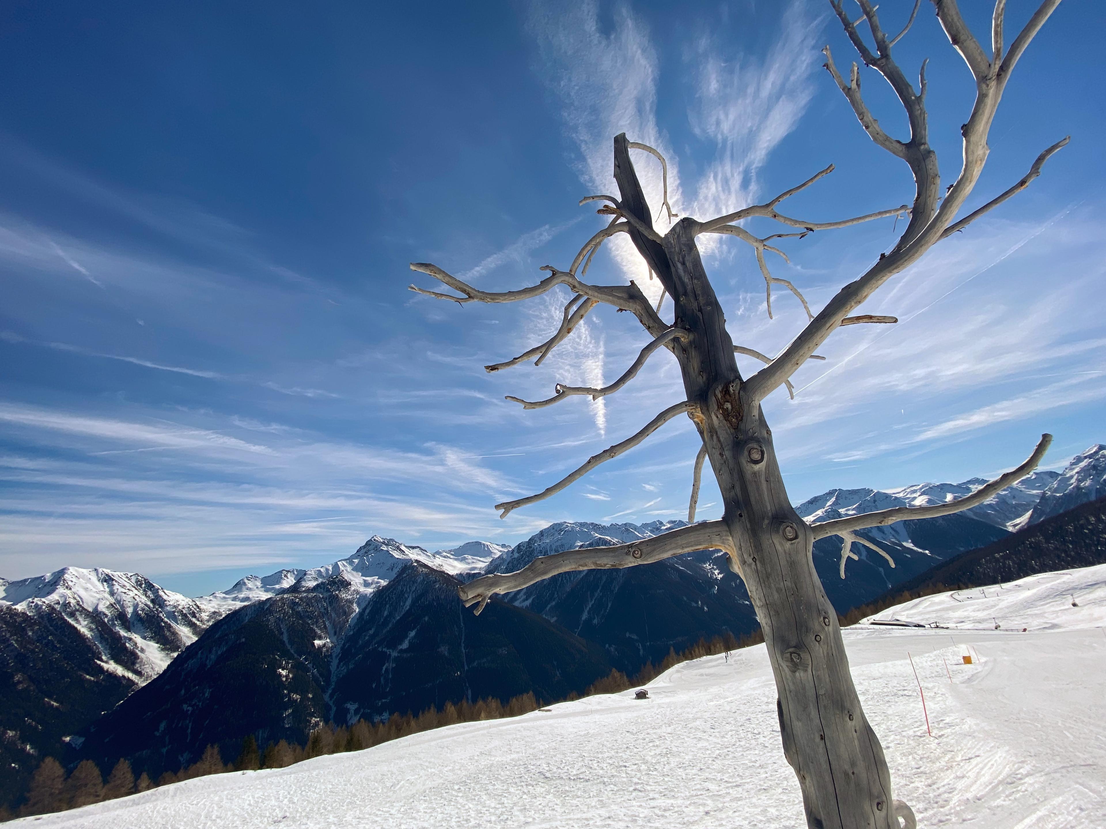 Südtirol: Ziegen